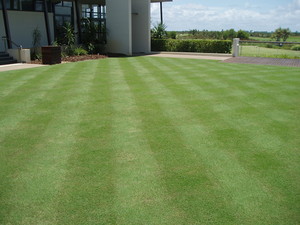 Turf Green Pic 3