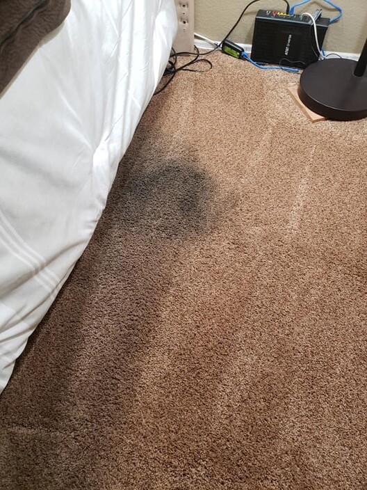 Clean Master Carpet Cleaning Perth Pic 1