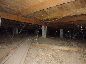 South East Melbourne Building and Pest Inspections Pic 3