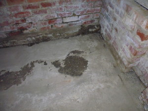 South East Melbourne Building and Pest Inspections Pic 5