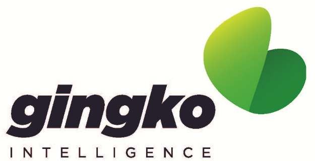 Gingko Intelligence Pic 1 - Intelligent IT