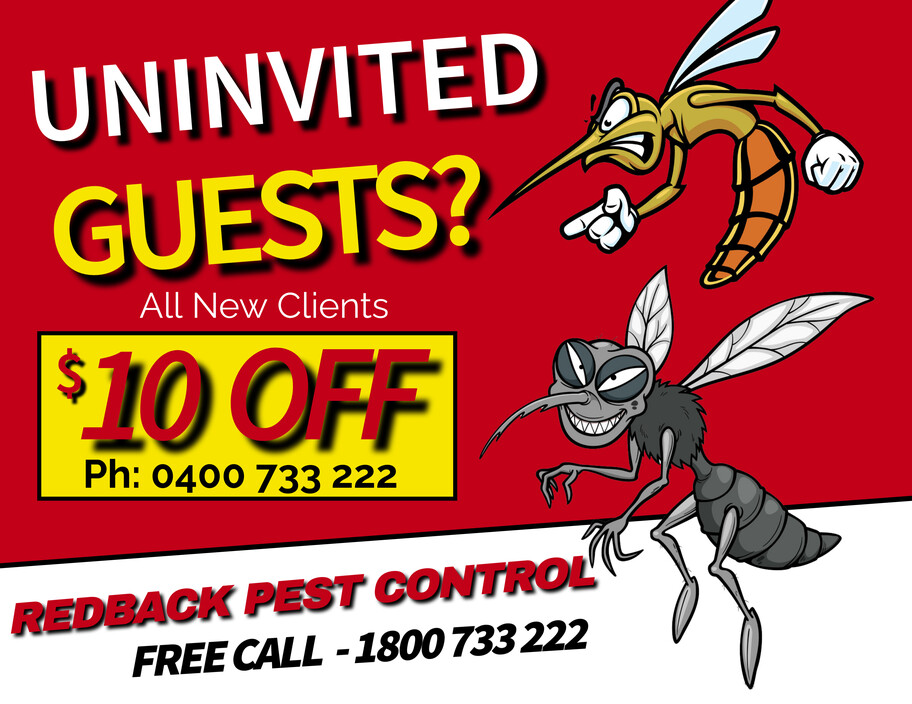 Red Back Pest Control Pic 1 - Dont Let the bugs take over we can help you with all types of pest control call ken on 0400 733 222 Book online httpswwwredbackpestcontrolsydneycomaugetaquote We Inspect all areas Including Liverool Camden Campbelltown