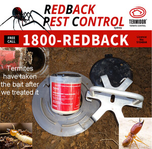 Red Back Pest Control Pic 3 - Termite Control By Redback Pest Control