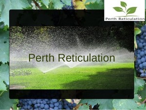 Perth Reticulation Pic 2