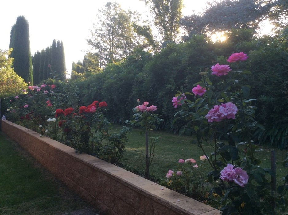 Bloomfield Bowral Pic 1 - Rose Garden