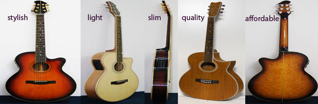 newendguitars Pic 1 - new end guitars range