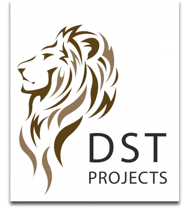 DST Projects Pic 1