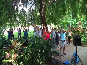 Australian Academy of Tai Chi Pic 3 - free tai chi in city botanic gardens tues thurs 1230130 from 1st july 2008