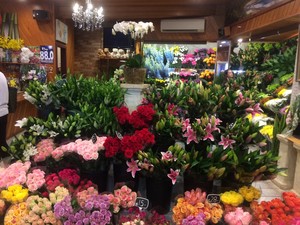 Belflora Newcastle Flower Market Pic 3