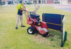 Shayne's Tree Service Pic 3 - Tree stump grinding