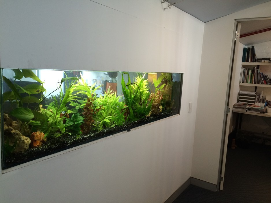 Mobile Aquarium Care Pic 1