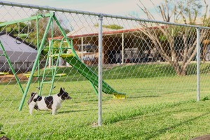 Northside Fencing Pic 3