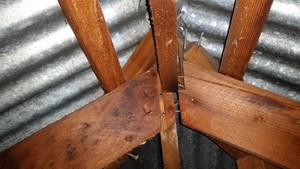 Rightway Building and Pest Inspections Pic 5 - Roof framing defect found on a Building inspection carried out in Adelaide SA