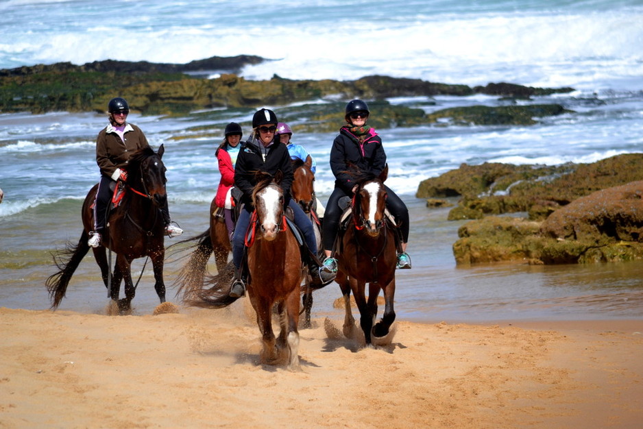 AceHi Beach Rides Pic 1