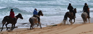 AceHi Beach Rides Pic 3