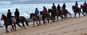 AceHi Beach Rides Pic 4