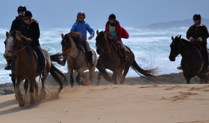 AceHi Beach Rides Pic 2