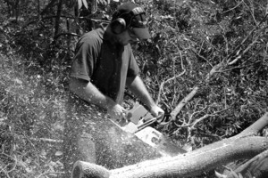 Hardwood Complete Tree Services Pic 4 - cleaning up storm damage