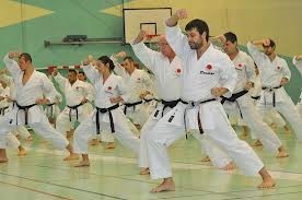 Karate Fuji Club Pic 3 - Adult karate class Self Control working with others is practiced each class