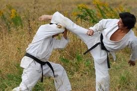 Karate Fuji Club Pic 2 - Karate kicking Control of your power and emotions are essential