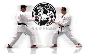 Karate Fuji Club Pic 5 - Shotokan karate is the most widely practiced form of karate in the world