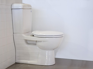 Gold Coast City Plumbing Draining & Gas Pic 2 - toilets