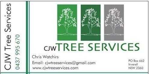 CJW Tree Services Pic 1