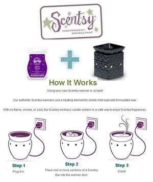 Wise Little Hollow Scents Pic 4 - How it works