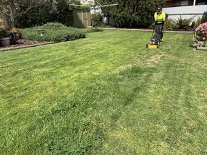 All Good Mowing Mount Gambier Pic 4