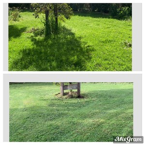 All Good Mowing Mount Gambier Pic 5 - Before and afters