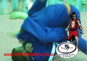 The Pit Martial Arts Pic 4