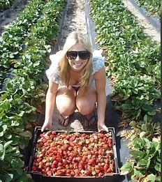 Explore Nutrition Pic 1 - Strawberry picking on a holiday in QLD Great little packets of nutrients