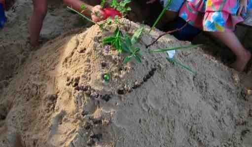 Shine Early Learning Centre Pic 1