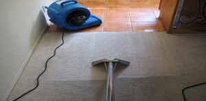 Carpet Cleaning Daylesford Pic 3