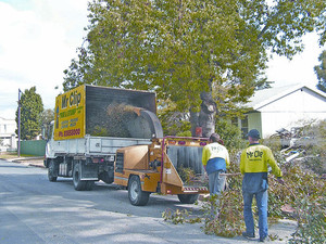 Mr Clip Pic 5 - chipping of branches and foliage