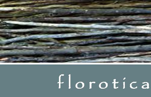 Florotica Displays Pic 1 - Logo