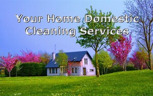 Your Home Domestic Cleaning Services Pic 2