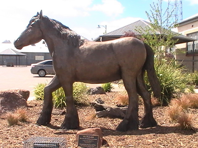 Maitland Information Centre Pic 1 - A statue of the Clydesdale representing the major part it played in developed the district