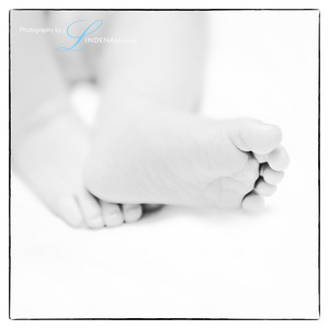 Lindenau Images Pic 3 - Baby Photography