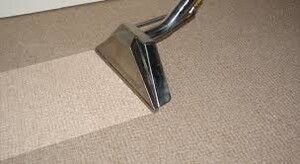 OZ Carpet Cleaning Brisbane Pic 3