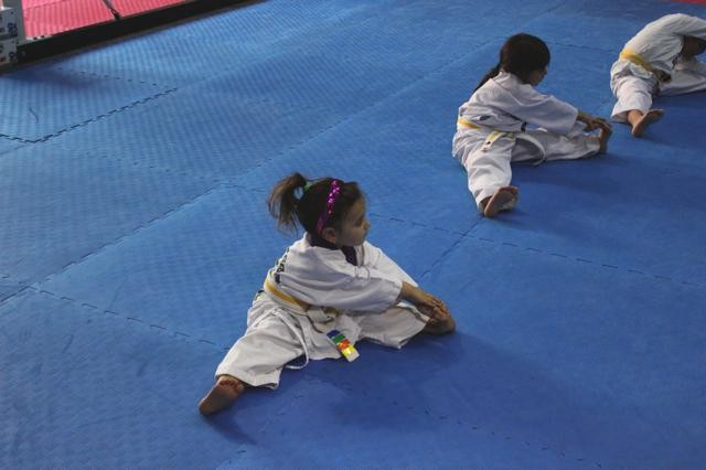 Global Martial Arts Pic 2