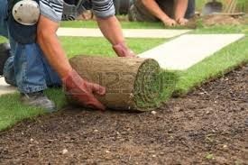 ELSTERNWICK MOWING AND GARDENING Pic 4