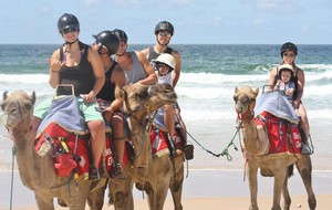 Coffs Coast Camels Pic 2 - Things to do Attractions