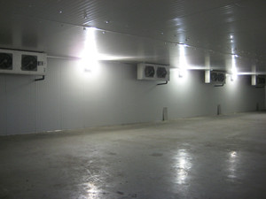 BMR Refrigeration Pic 2 - Freezer Room cold storage systems 1 2 Coastal Fisheries