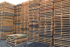 Wintle Pallets Pic 3