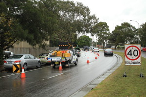 Cutting Edge Tree Maintenance Pic 4 - Melia azedarach removal Hamilton