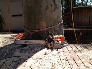 Cutting Edge Tree Maintenance Pic 2 - Stihl 660 magnum