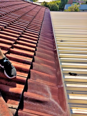 Steel City Roofing Pic 3 - Aluminium gutter mesh