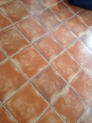 Salsa Tiling Pic 3