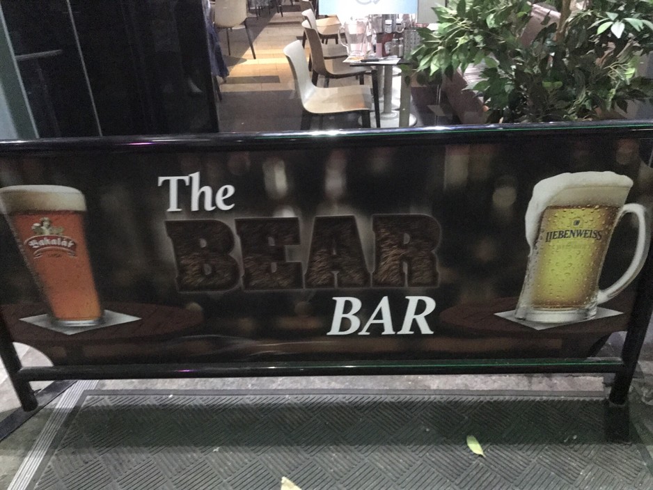 The Bear Bar Pic 1